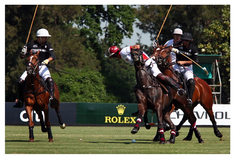 Hurlingham 2011. Ellerstina - Chapa II